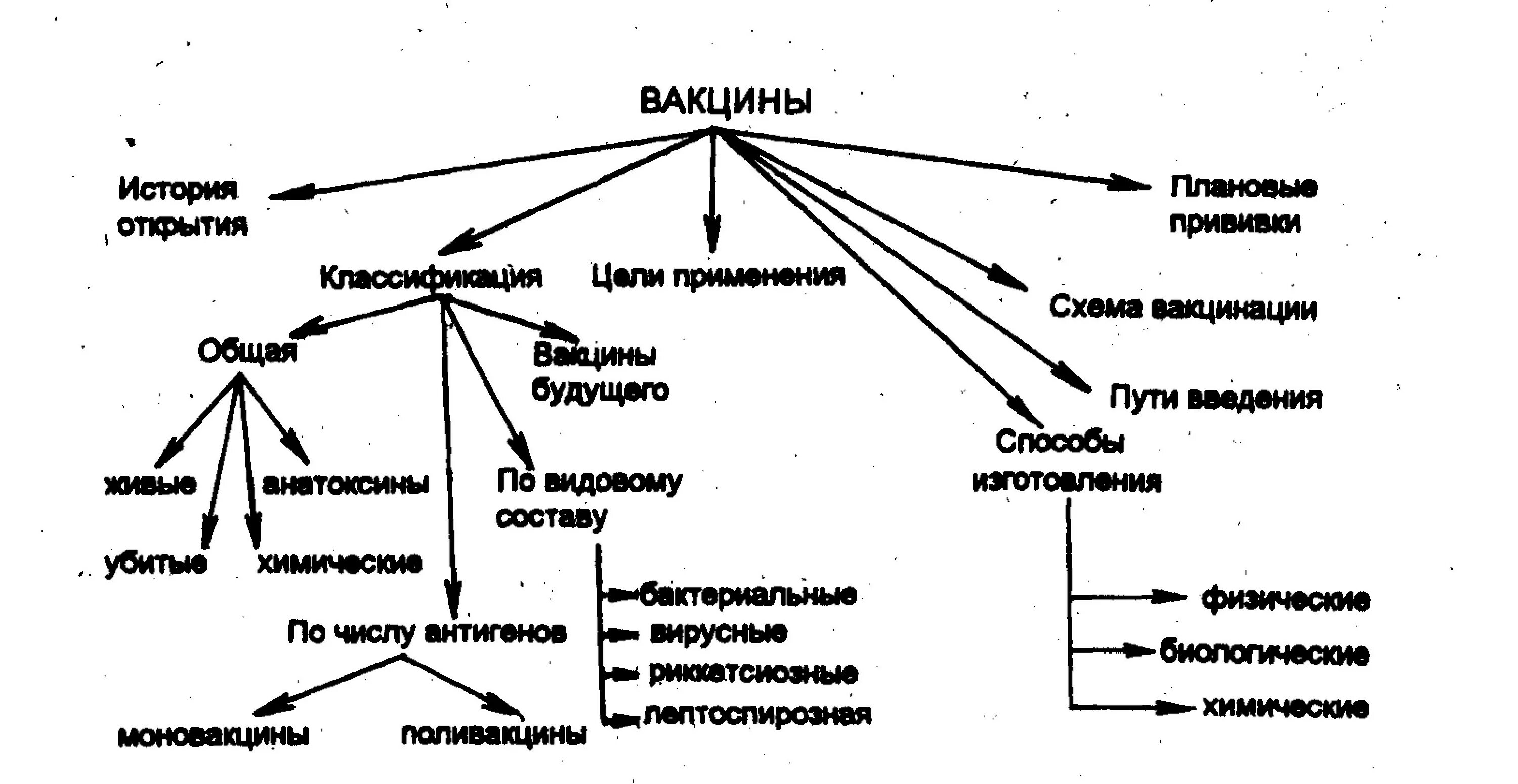 Технология изготовления сальмонеллезных вакцин - Технология производства вакцин 