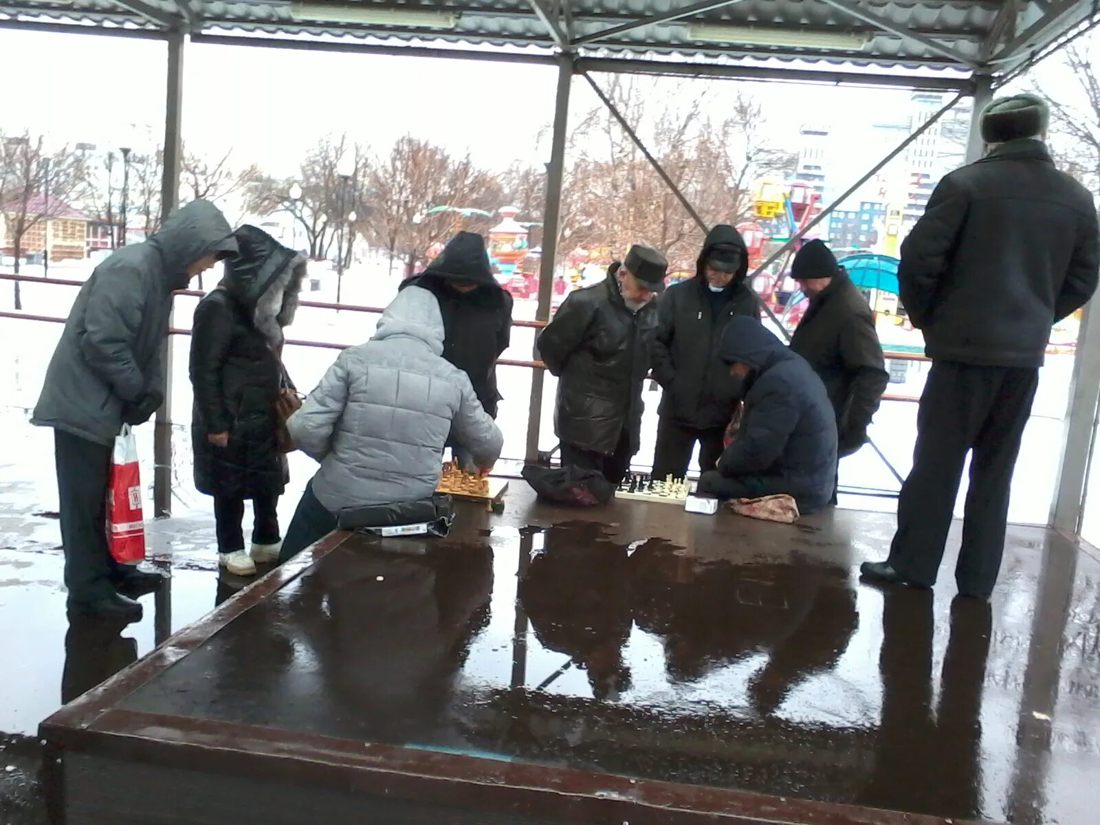 Воронежские новости выпуск сегодня. Воронежские новости последние. Вести Воронежской области. Последние новости Воронежской области сегодня. Воронежские новости сегодня последние свежие.