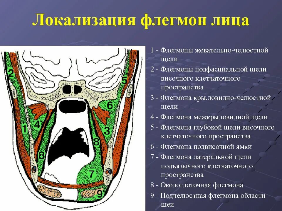 Пространства полости рта. Границы крыловидно-нижнечелюстного пространства. Анатомия клетчаточных пространств нижней челюсти. Клетчаточное пространство дна ротовой полости. Флегмона окологлоточного пространства.