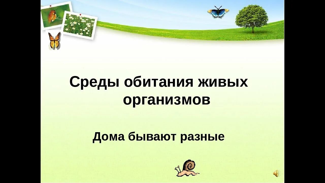 Среды обитания организмов. Среды обитние организмов. Среда обитания это в биологии. Среды обитания организмов 5 класс.