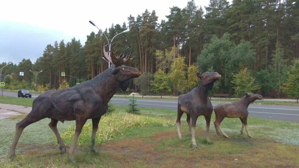 Лоси в Заречном Пензенской области. Город Заречный Пензенская область лоси. Скульптура Лось Каменск-Уральский. Памятник лосю в Белорецке. Животные белорецка