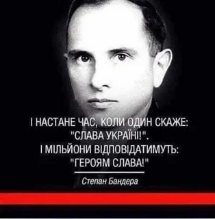 Цитаты степана