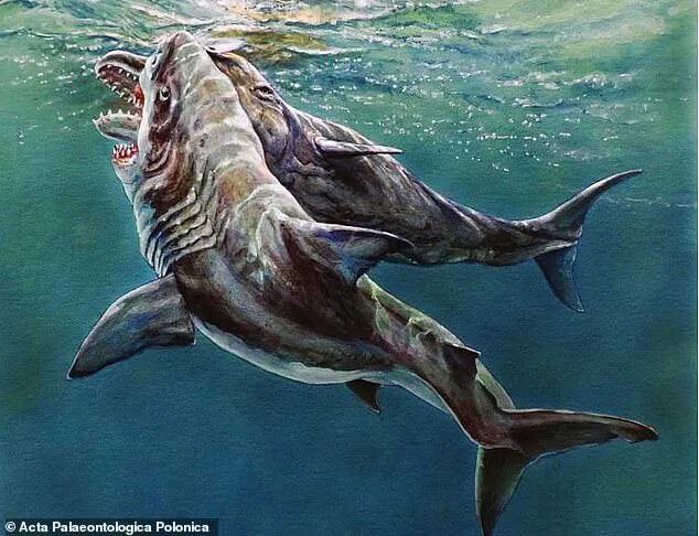 Как выглядела древняя акула Art illustration Aquatic animals Xiphactinus: is a genus of large teleost fi