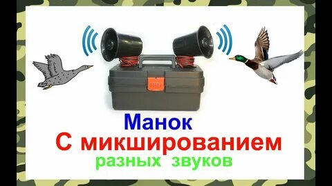 Звуки манка