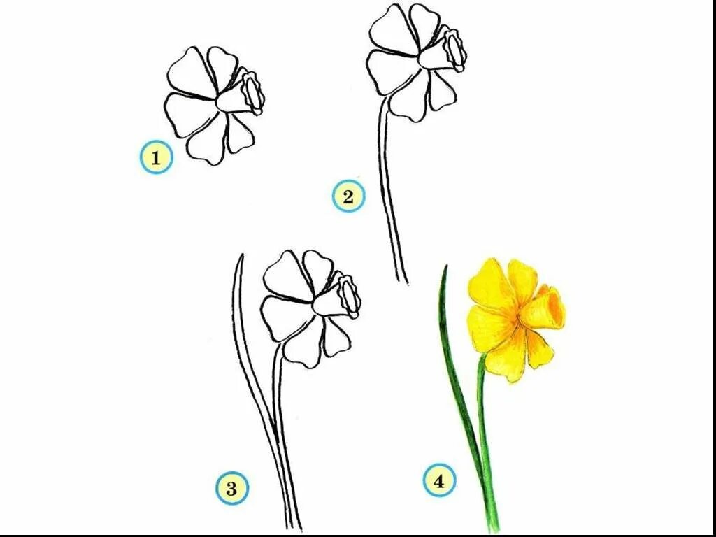 Букет поэтапное рисование. Рисование цветов. Цветы рисунок. Цветы для рисования. Простые цветы для рисования.