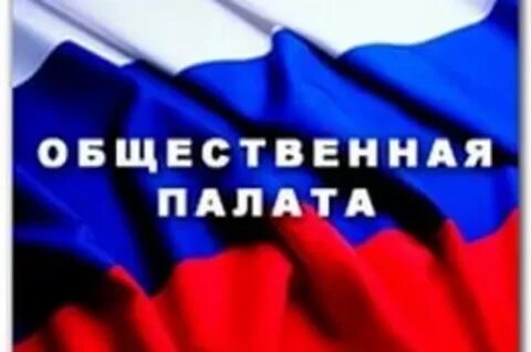 Общественная палата орган местного
