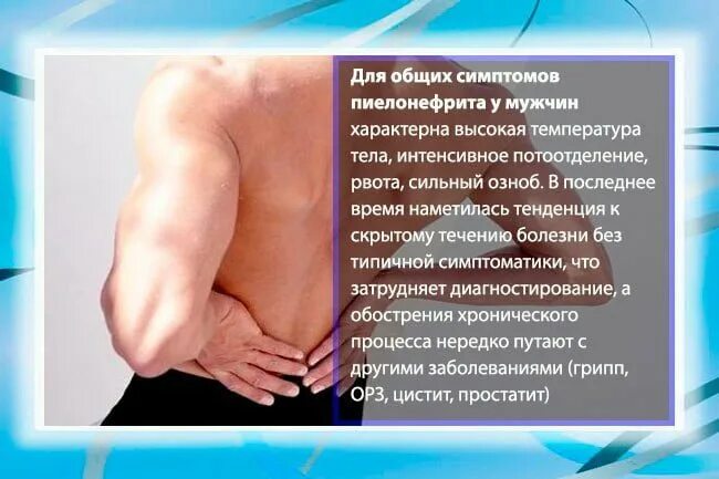 Симптомы проблем с почками. Симптомы заболевания почек у мужчин. пиелонефрит симптомы у мужчин. почки симптомы болезни у мужчин. симптомы почечных заболеваний у мужчин.