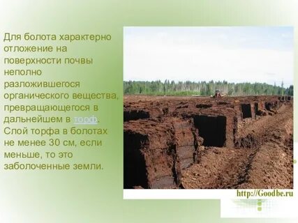 Характерна заболоченность
