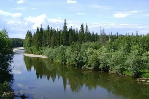 Рекв