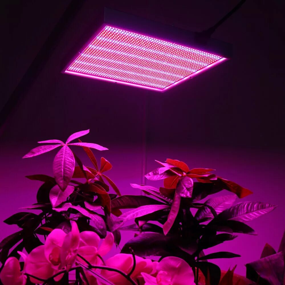 Диодные лампы для растений. Фитолампа grow light 40 вт. led grow lamp 200w и 400w (фитолампа, биколор). фитолампа 200 ватт для растений. фитосветильник светодиодный led-30 60 вт ( светильник для растений).