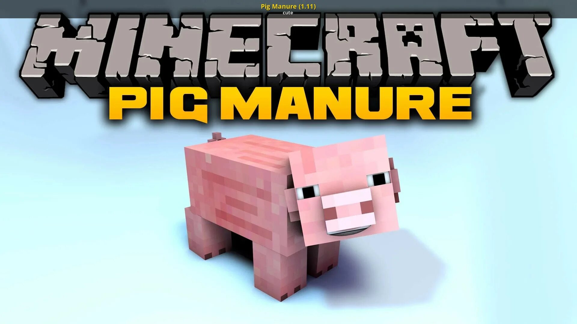Pig mod