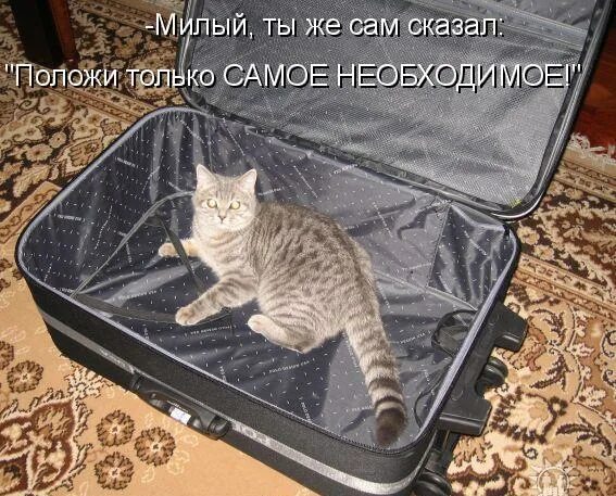 Мест нет надпись. Рокк ебол. Найти свое место. Рокк ебол. Я много места не займу.
