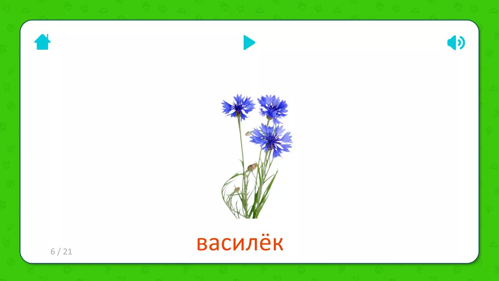 Предложение с васильком. Василек карточка для детей. Карточки васильки для детей. Цветы карточки для детей. Полевые цветы карточки для детей.