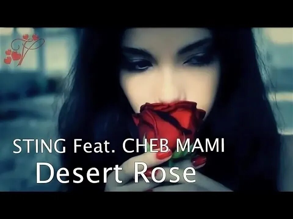 Cheb mami. Sting & cheb mami - desert rose. Cheb desert rose. Sting desert rose фото. Cheb desert rose.