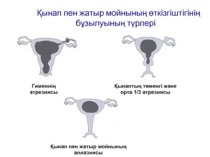Ерлі-зайыптылардың үйдегі жыныстық қатынасы, сценарий камерасы, орысша
