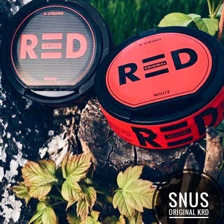 Снюс Red Original 70. Red strong снюс. Снюс ред красный 70мг. Снюс 70 мг. Купить снюс спб snusoff снусофф