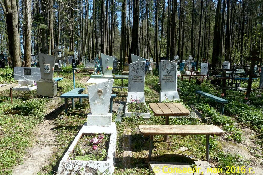 Кладбище: последние новости на сегодня, самые свежие сведения 59.ру - новости Пе