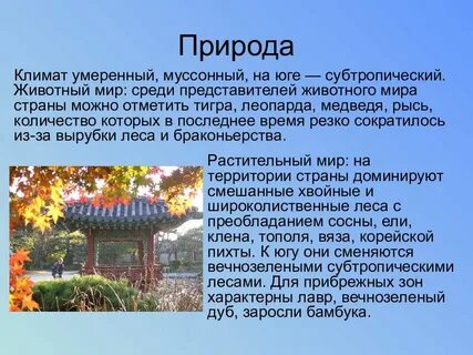 Корея доклад