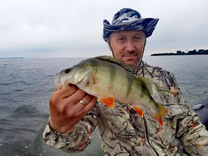 рыба из рыб. расписание катеров гурзуф ялта. меганом корабль князь багратион. глубоководная рыбалка на камчатке. паром маршал рокоссовский.