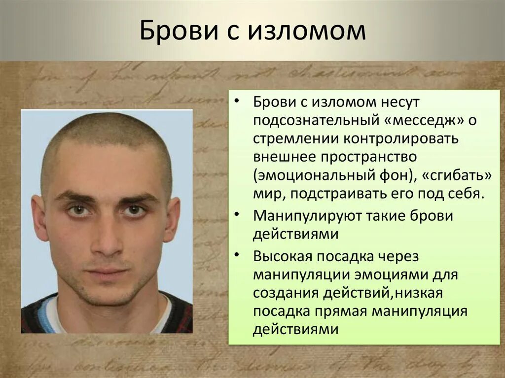 Что означают брови. Физиогномика брови. характер по бровям у мужчин. брови темперамент. брови характер человека.