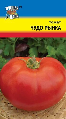 Описание сорта томатов чудо земли. Томат чудо рынка. чудо рынка томат описание. чудо овощ помидор. томат рыночный.