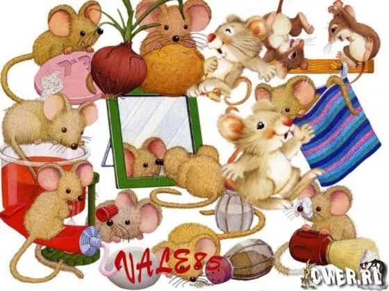 Пять мышей. Семья мышат. Много мышей. Мышки много для детей. Мышки много картина.