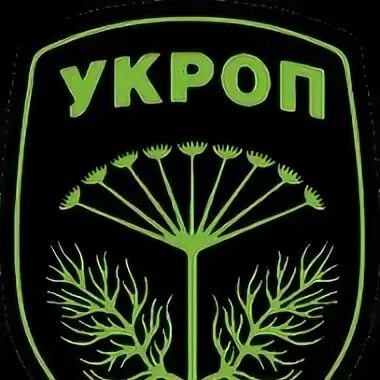 Укроп корелле