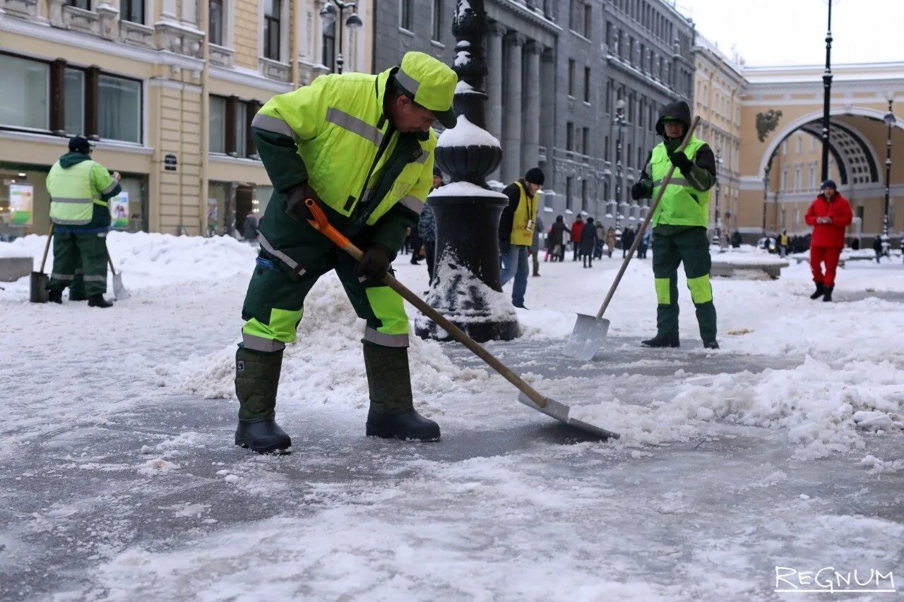 Дворник спб