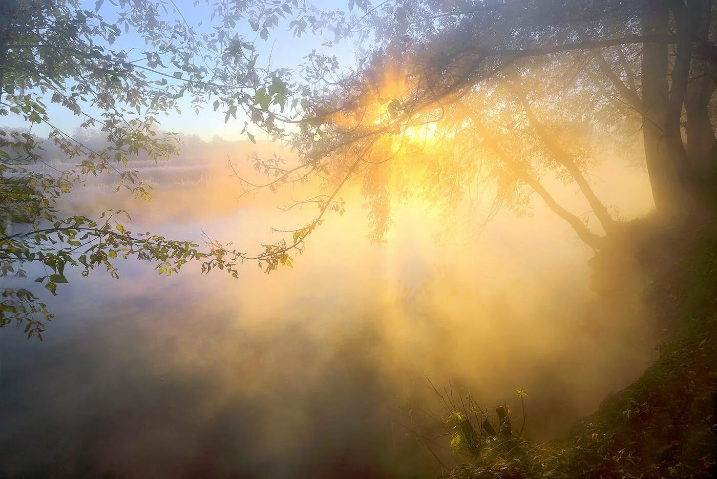 Стояло раннее утро солнце освещало. Осень солнце. Рассвет туман. Осень туман солнце. Туманный рассвет.
