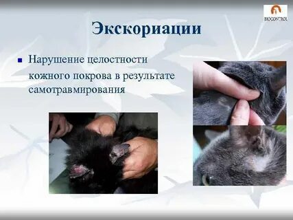 Повреждение целостности кожных покровов