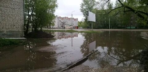 Гусь хрустальный теплицкий