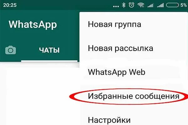 Избранное вацапе. Что значит Звездочка в ватсапе. Что в вотс АПЕ означает Звёздочка. Избранные сообщения. Что означает Звёздочка в ватсапе в сообщении.