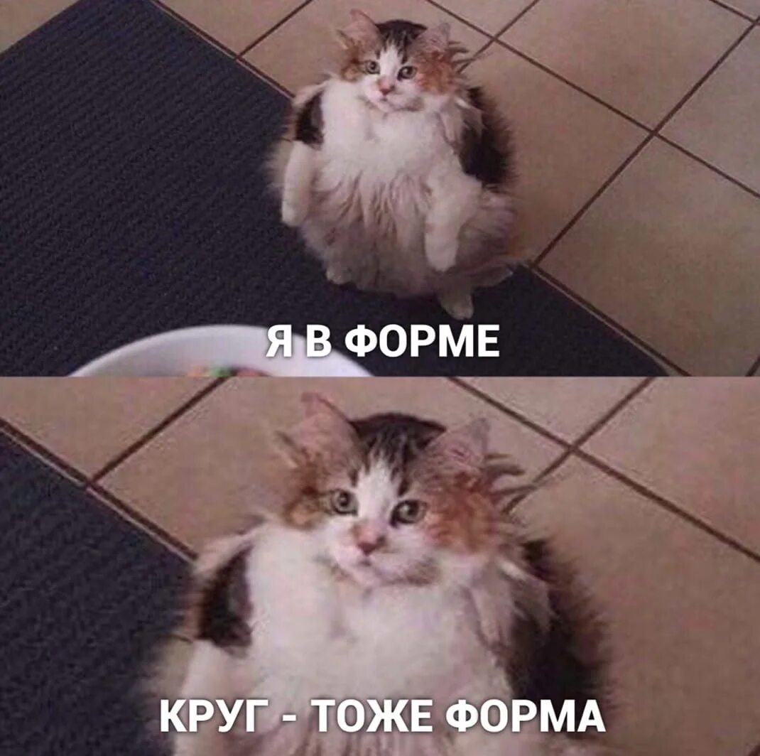 Все было тоже кругом. Петровна прикол. Возвращайся скорее. Юмор в картинках. Все было тоже кругом.