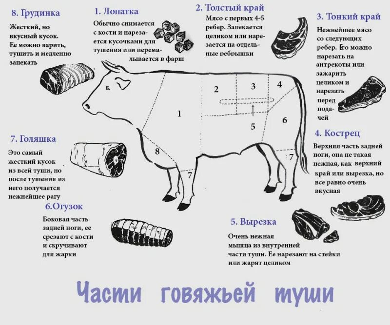 Части говядины для чего подходит. Рибай на схеме разделки говяжьей туши. Схема разделки говяжьей туши на стейки. Стейки из говядины из какой части туши говядины схема. Части туши говядины схема для стейка.