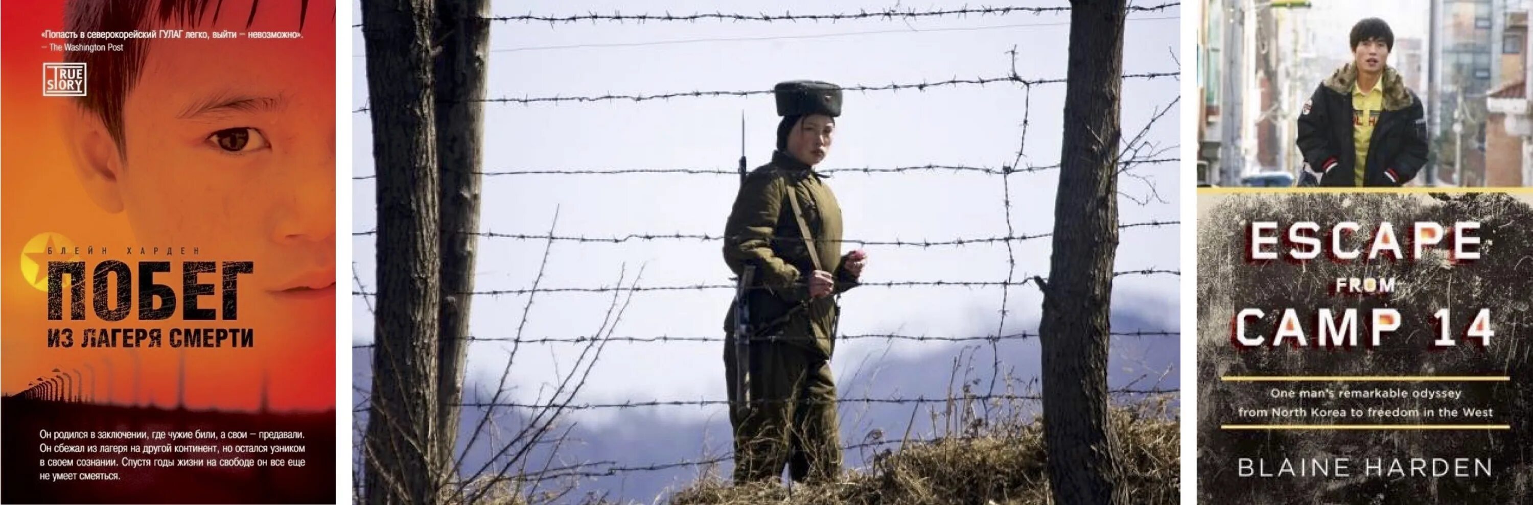 блейн харден побег из лагеря смерти. побег из лагеря смерти книга. побег из лагеря 14 книга. блейн харден побег из лагеря смерти. побег из лагеря смерти харден блейн книга.