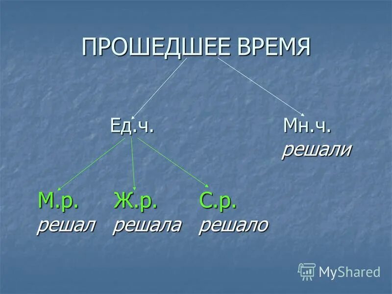 Единственное и множественное число имена существительные гриб грибы. Число. Единственное число и множественное число. Грибы единственное число. Гриба ударение.