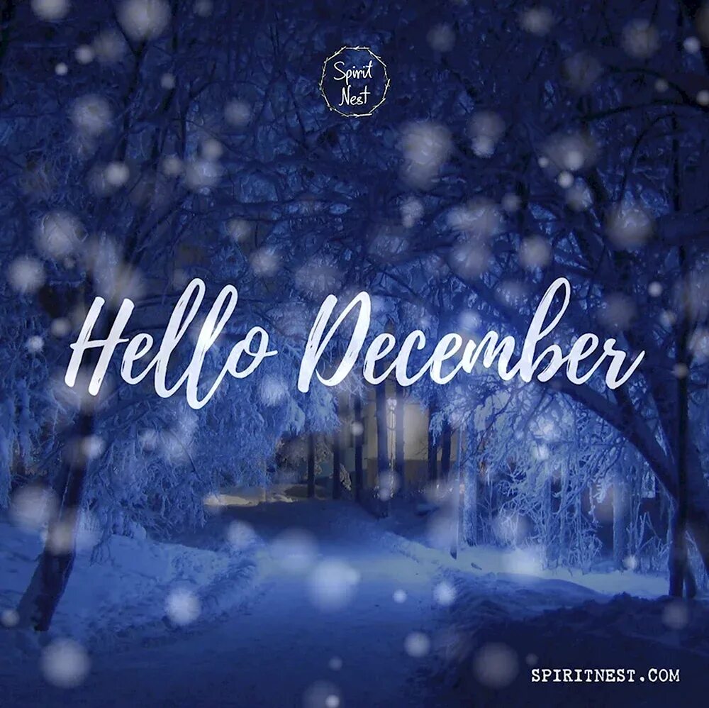 December first. Привет декабрь. Привет зима декабрь. Привет декабрь надпись. Hello December.