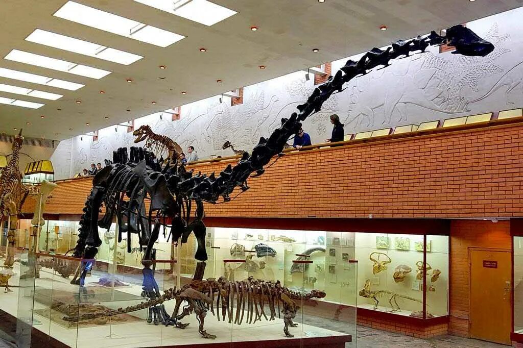 Интересные музеи москвы. Музей странностей москва. Музеи кремля оружейная палата. Самые необычные музеи мира экспозиции. Необычные московские музеи.