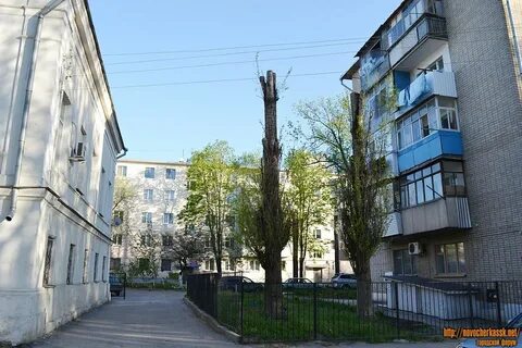 Новочеркасск 61