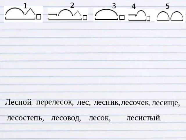 Запишите слова по рисунку. Перелесок лес Лесник Лесной лесочек лесище лесок лесостепь. Перелесок схема. Перелесок, Лесной, Лесник, лесочек, лесище. Проект семья слов со схемами.