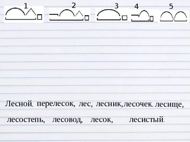 Перелесок суффикс. Перелесок схема. Перелесок, Лесной, Лесник, лесочек, лесище. Лес Лесной Лесник по составу. Какие слова на рисунке подходят к этим схемам.