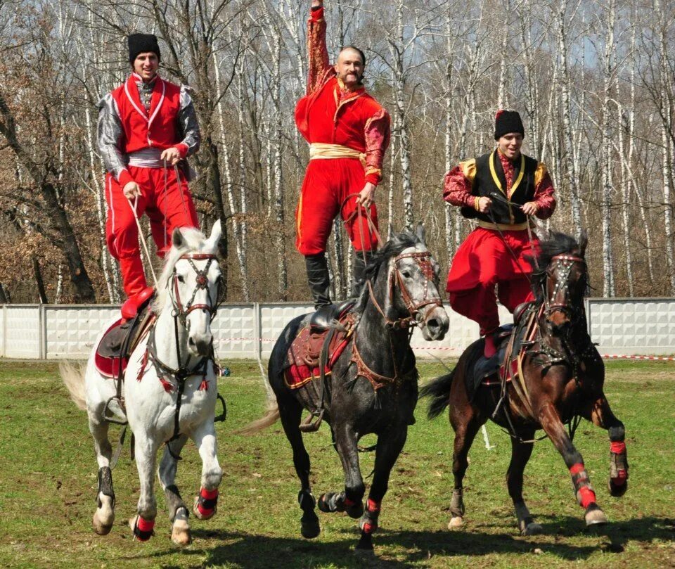 Ukrainian cossack. Украинцы казаки. Казаки Украина. Хорс на Украине. Horse Ukraine.