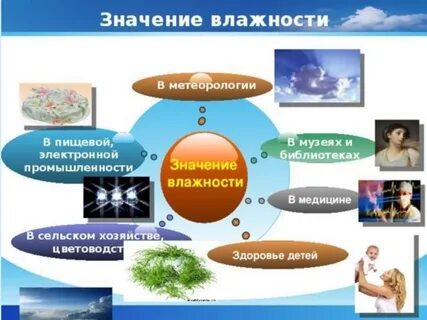 Значение влажности