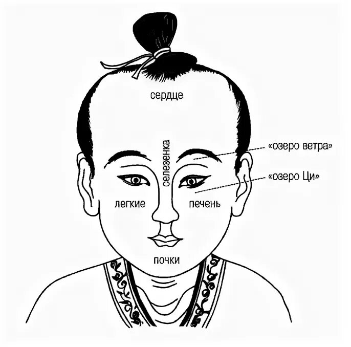 Символ на лбу. Схема лица китайская физиогномика. Физиогномика Китай. Рисунки на лбу Китай. Знаки на лбу в Китае.