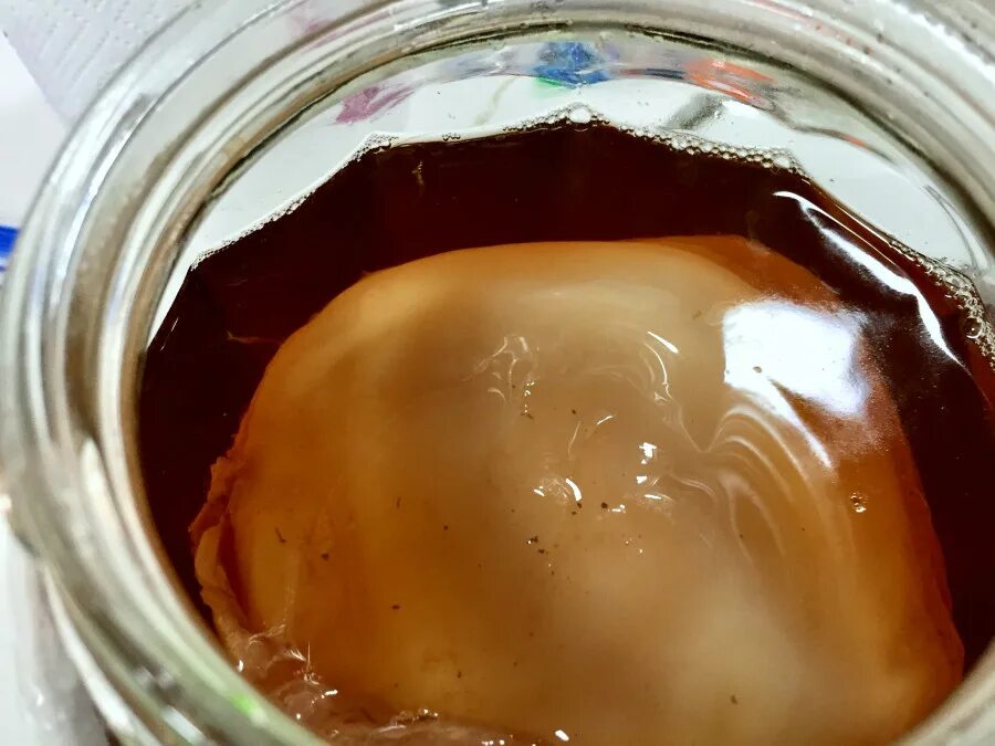 Here's Everything You Need to Know to Brew Kombucha at Home Recipe Brewing recip
