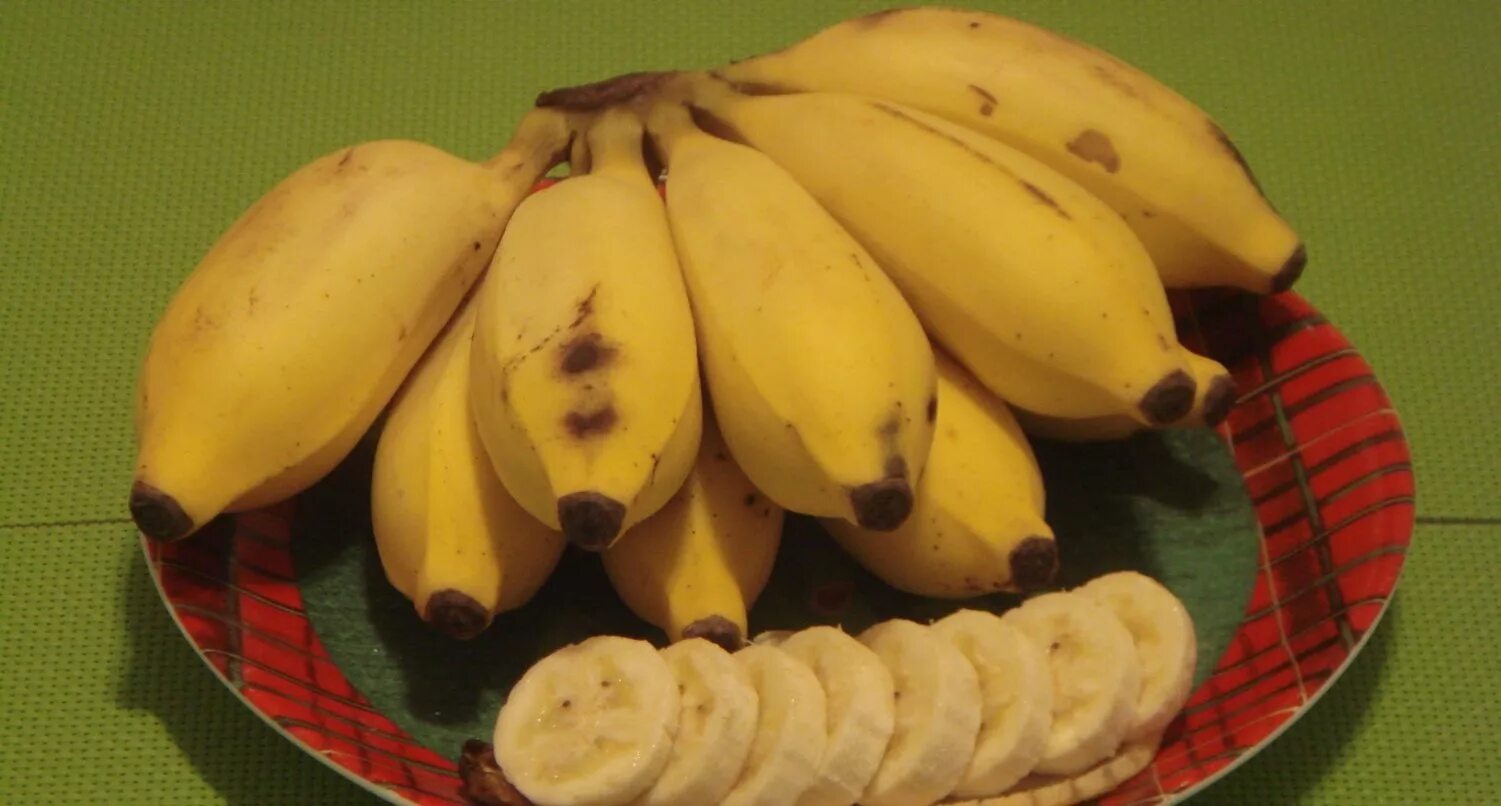 Где купить банан. Банан Барро. Банан Барро сорт. Раджапури банан сорт. Банан сорт Кавендиш.