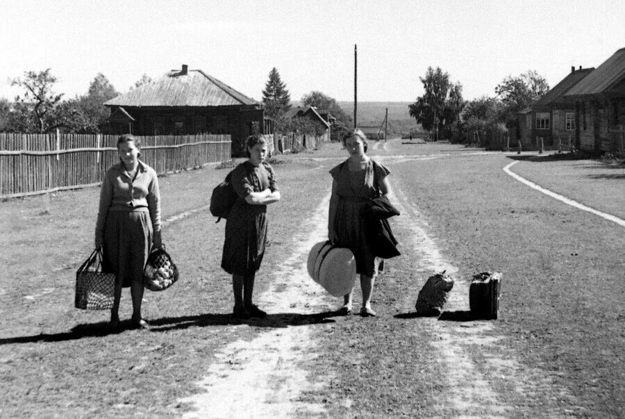 Сев архив
