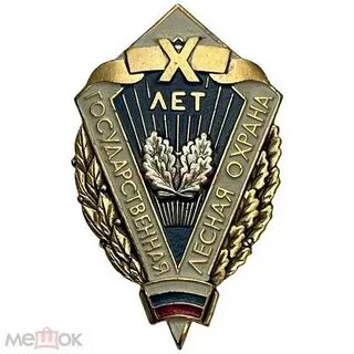 Государственная служба 10 лет