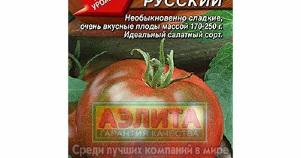 Жорик обжорик помидоры. Жорик отзывы. Жорик фото. Жорика машина. Жорик 2002.