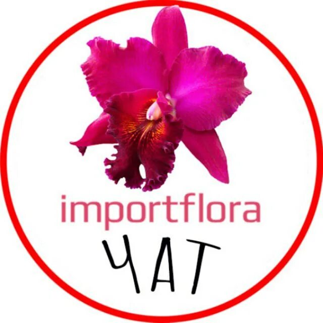 импортфлора.